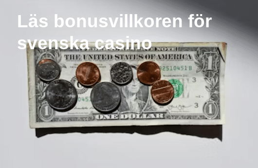 Las bonusvillkoren for svenska casino
